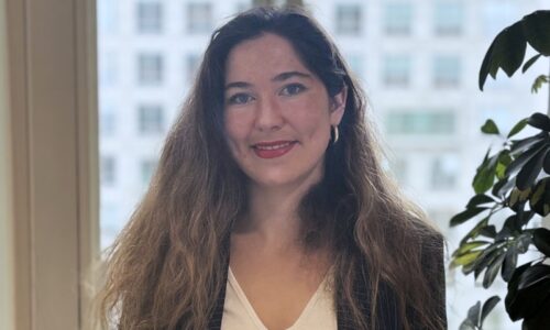 Soesja Zuiderwijk_PersberichtTroostwijkbyAccumin_website